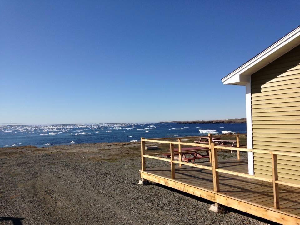 Oceanside Cabins Bonavista Dış mekan fotoğraf